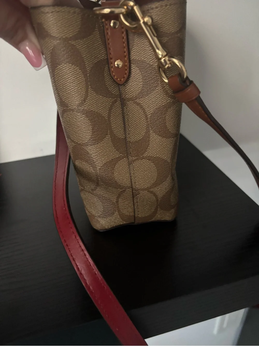 Coach signature canvas